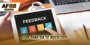 AF88 Đánh Giá Từ Người Chơi - Nền Tảng Giải Trí Chất Lượng