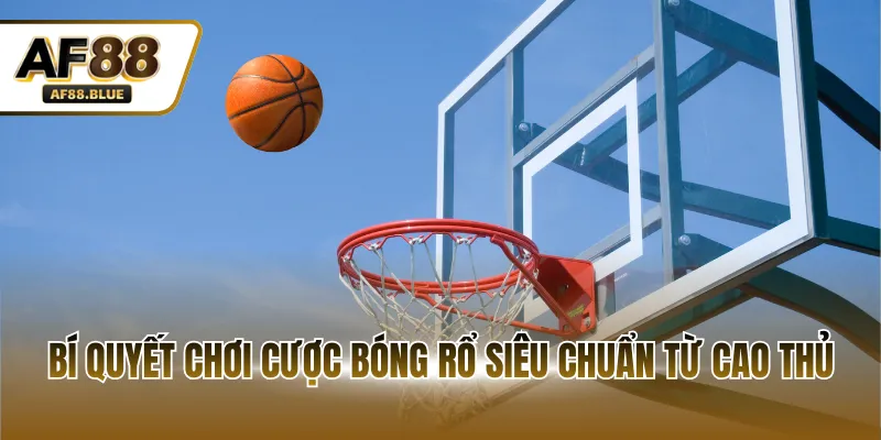 Bí quyết chơi cược bóng rổ siêu chuẩn từ cao thủ