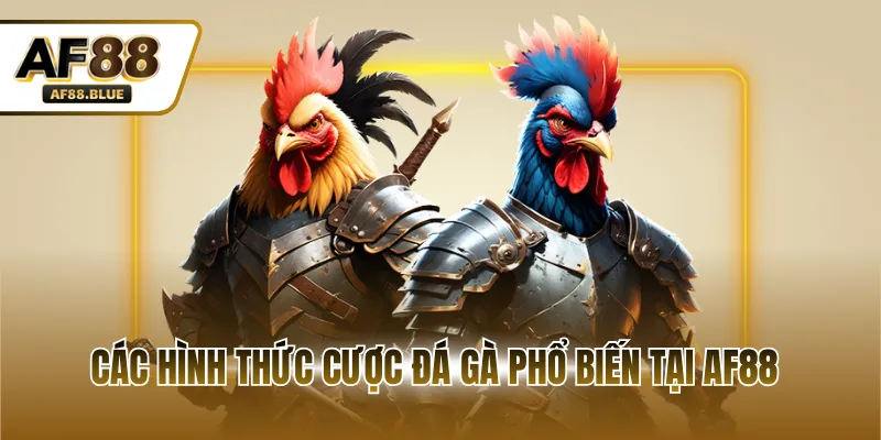 Các hình thức cược đá gà phổ biến tại AF88
