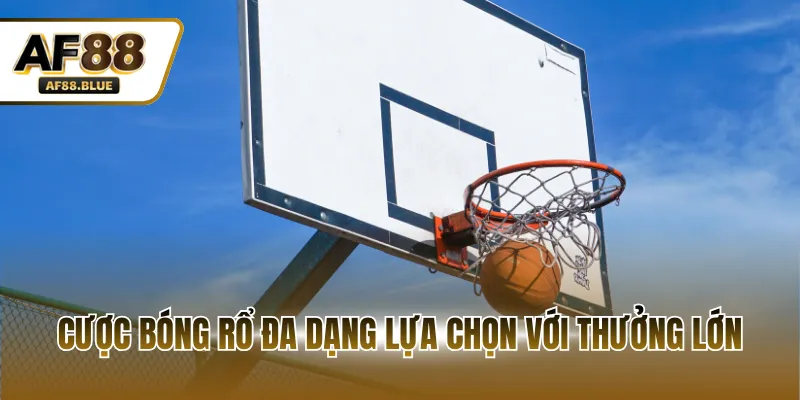 Cược bóng rổ đa dạng lựa chọn với thưởng lớn