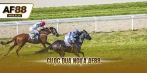 Cược Đua Ngựa AF88 - Đặt Cược Kịch Tính Với Odds Tới 0,92